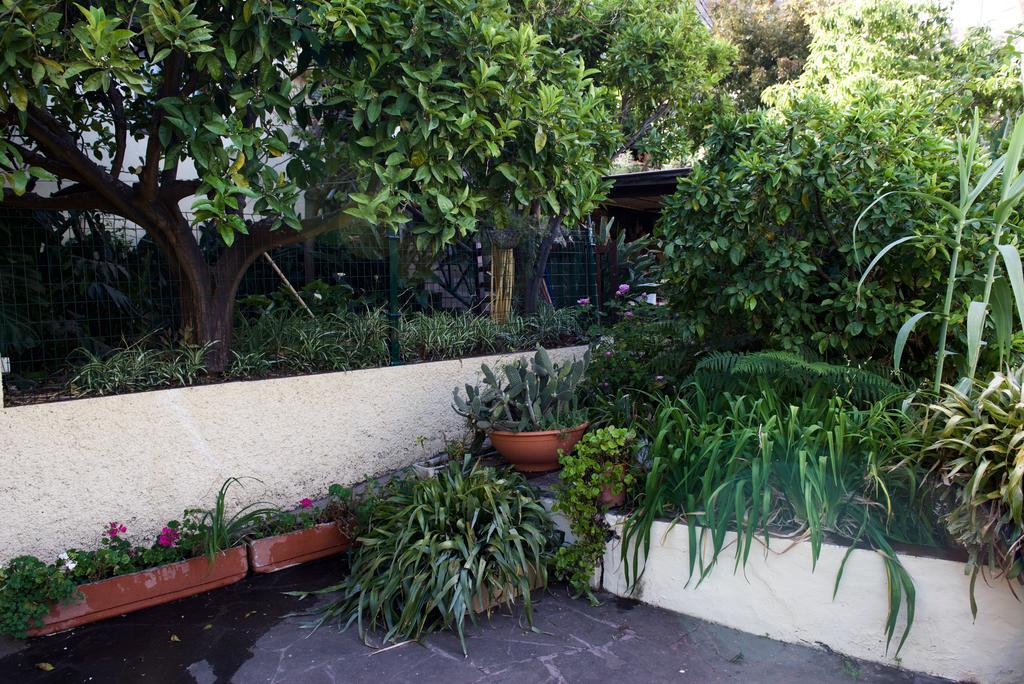 Casa Rural de Tío Félix Vega de San Mateo Esterno foto