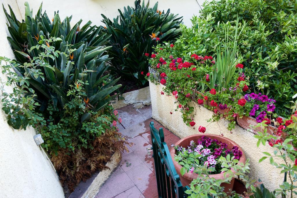 Casa Rural de Tío Félix Vega de San Mateo Esterno foto