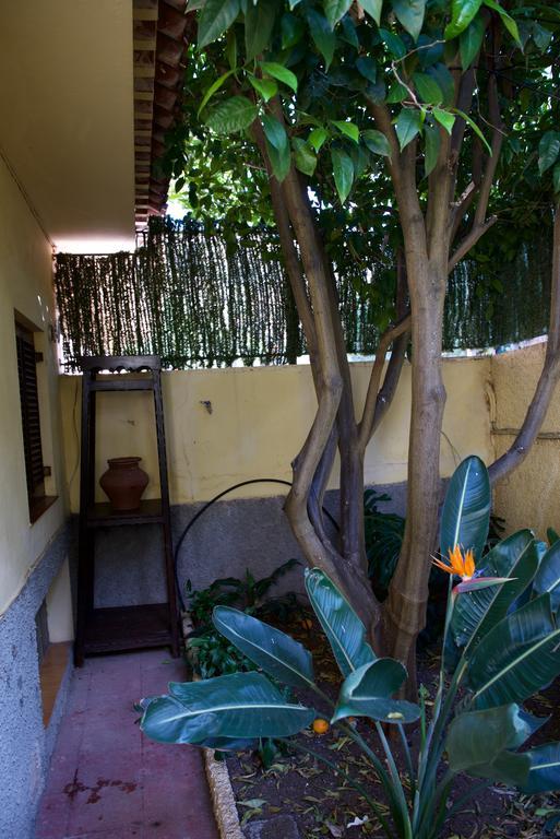 Casa Rural de Tío Félix Vega de San Mateo Esterno foto