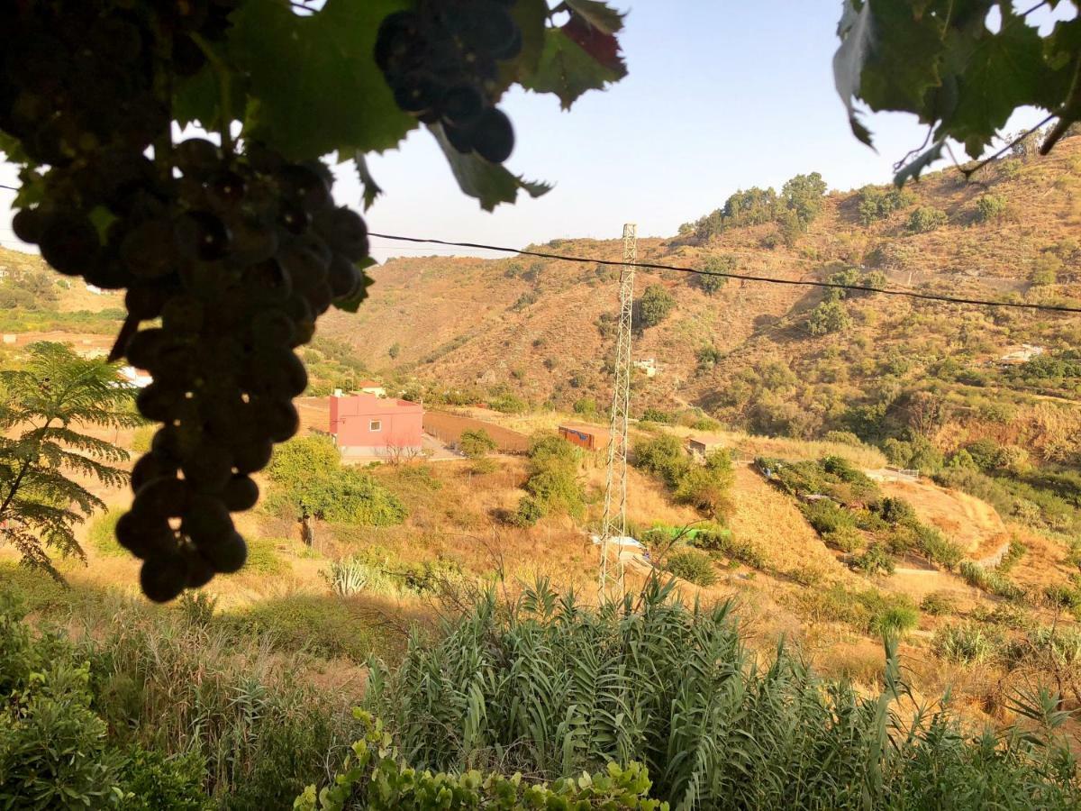 Casa Rural de Tío Félix Vega de San Mateo Esterno foto